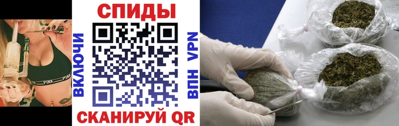 дарк нет клад  Кедровый  Бутират бутик 