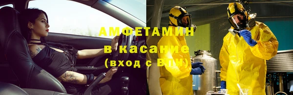 прущие крисы Богданович