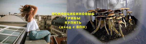 прущие крисы Богданович