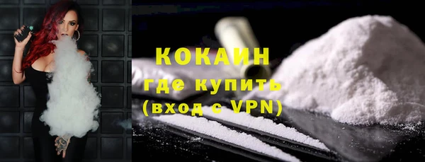 бошки Белокуриха
