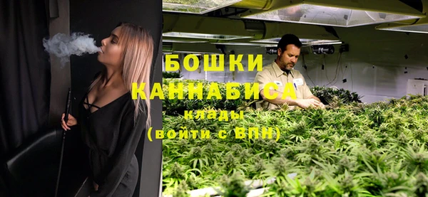 бошки Белокуриха