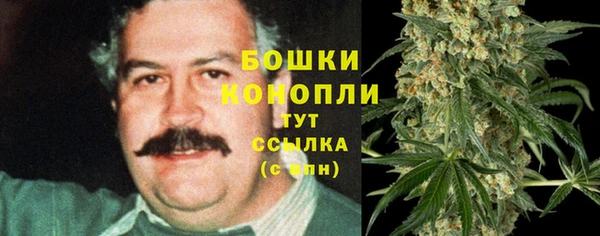 прущие крисы Богданович