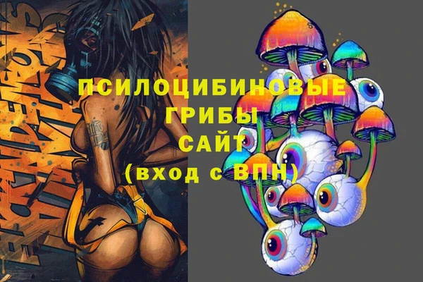 гидропоника Богородицк