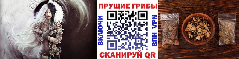 Галлюциногенные грибы Magic Shrooms  Кедровый 