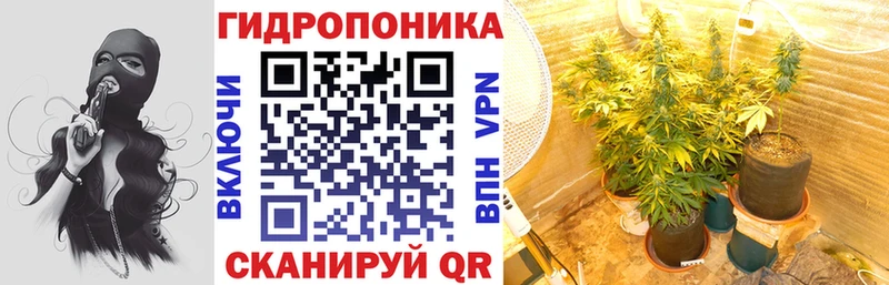 Бошки марихуана OG Kush дарнет шоп Кедровый